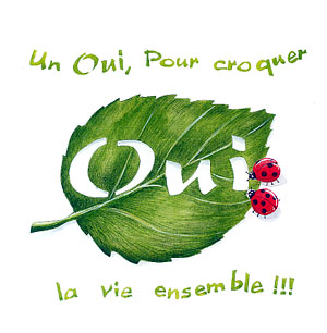 J'adore les coccinelles (^.^)